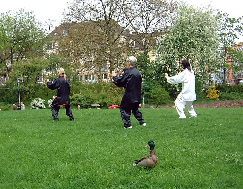 8. Welt Tai Chi und Qi Gong Tag 2006 in Aschaffenburg